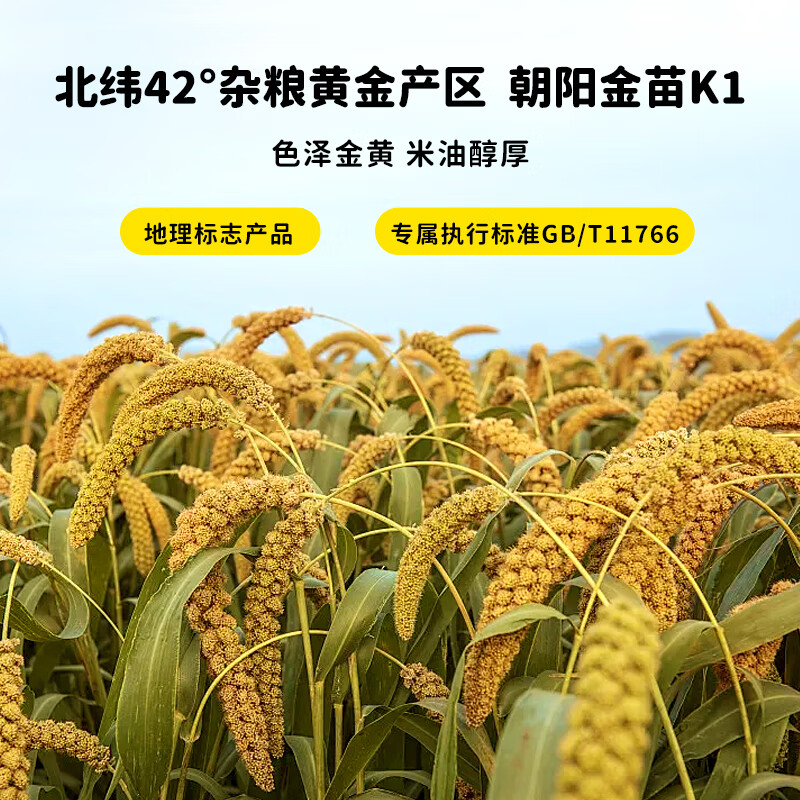 天汇优农 有机黄小米2KG