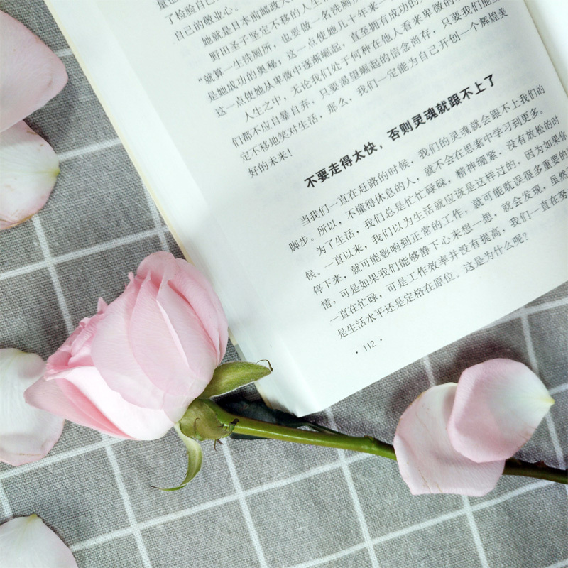 [5册]人生必修课 [正版]人生必修课全5册成功励志为人处事方与圆的人生智慧课 包与容的人生必修课 舍与得的人生经营课人