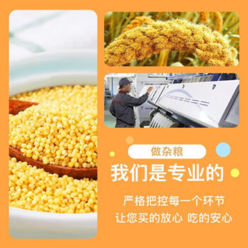 苏宁 十月稻田 八宝粥米 1kg/袋 4袋起订高清大图