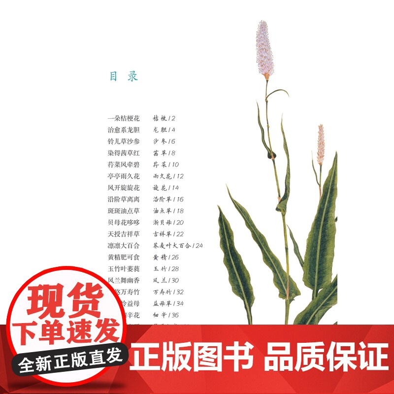 草色入帘青/草木闲趣书系 徐红燕博物学全彩印刷花卉普及读物毛利梅园梅园草木花谱 上海科技教育出版社高清大图