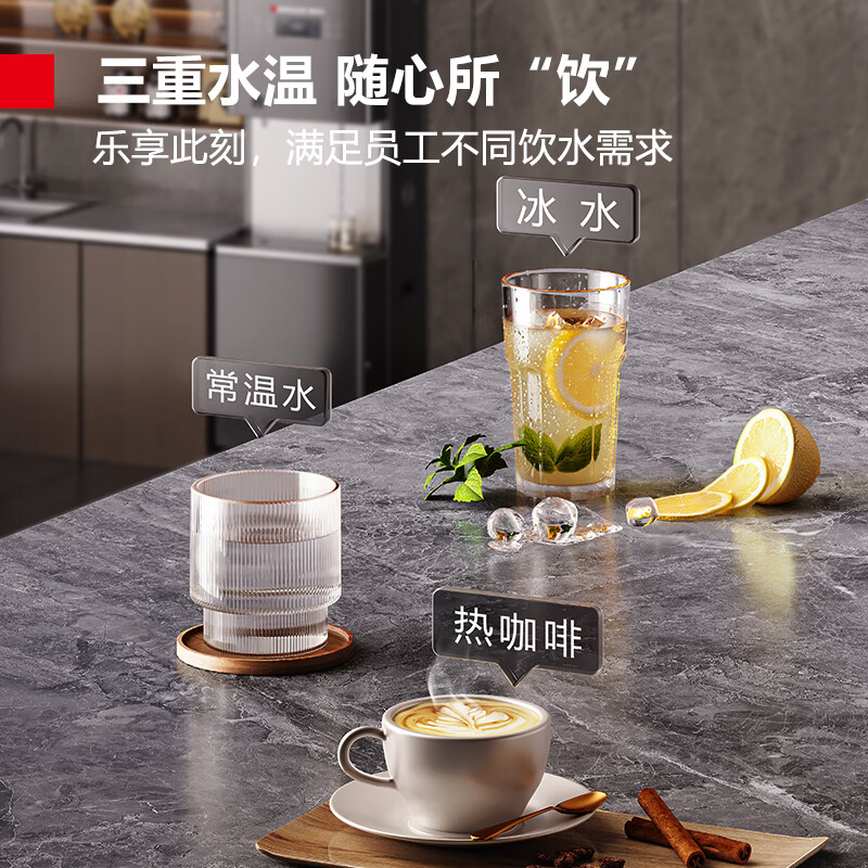 德玛仕智能柜式净饮机DMS-RO200 2Y3一开一冰高清大图