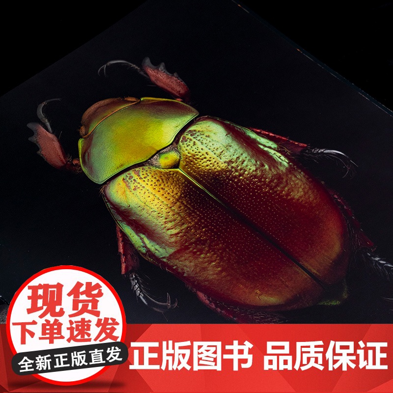 昆虫的艺术 当代微距摄影画册 中国国家地理 “无穷小亮”张辰亮倾情审订高清大图
