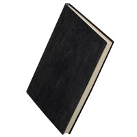 得力(deli) 3185-16K-160页 加厚商务皮面本办公用品 商务办公笔记本(黑色) 5本装