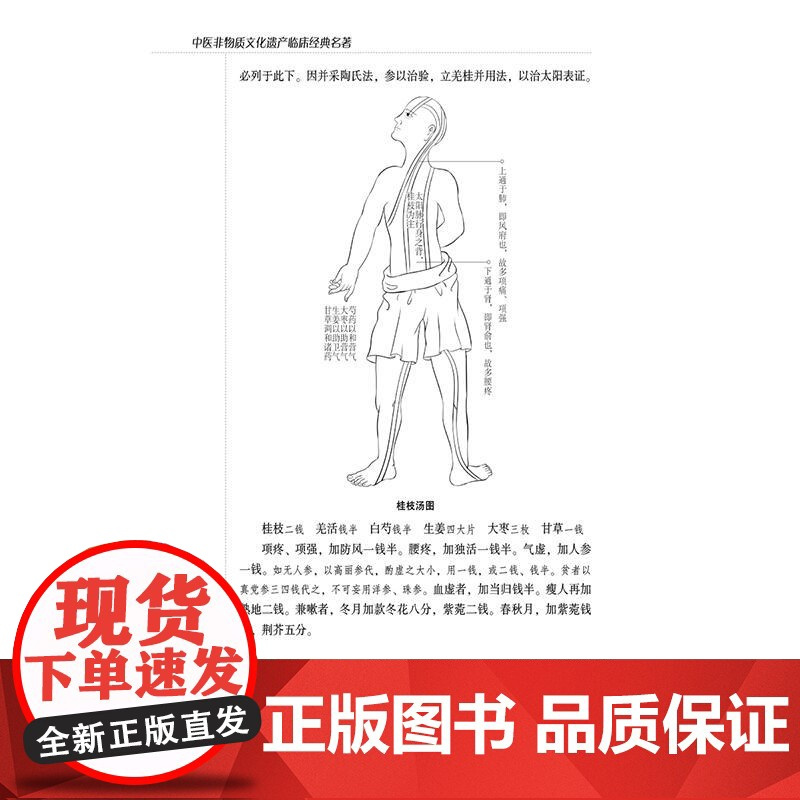 伤寒论大方图解;金匮要略大方图解(中医非物质文化遗产临床经典名著)(清)何贵孚著 宋白杨校注 9787521452389
