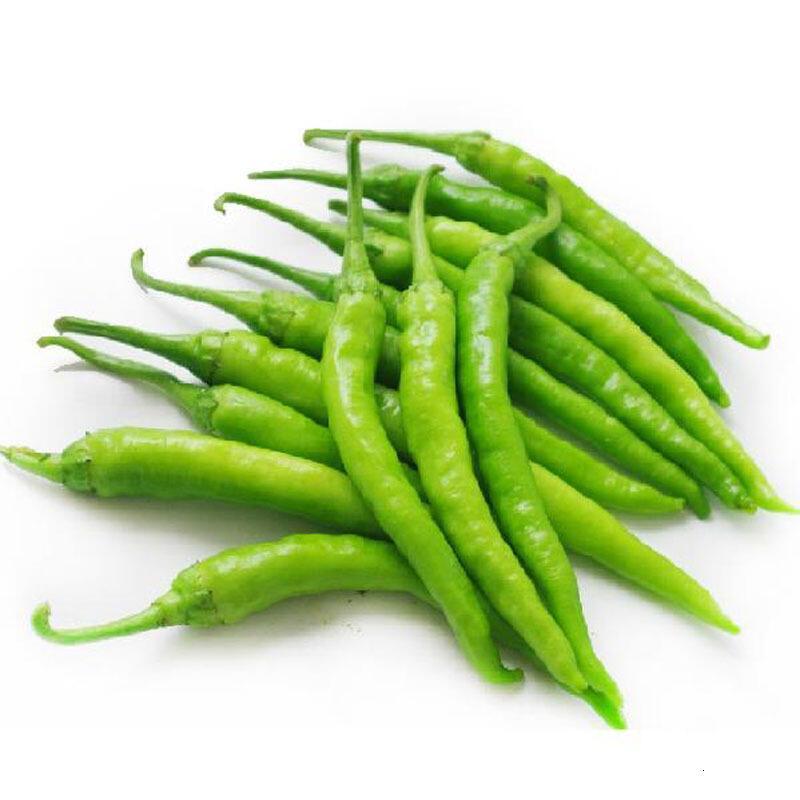 杭椒2kg青杭椒新鲜蔬菜产qq
