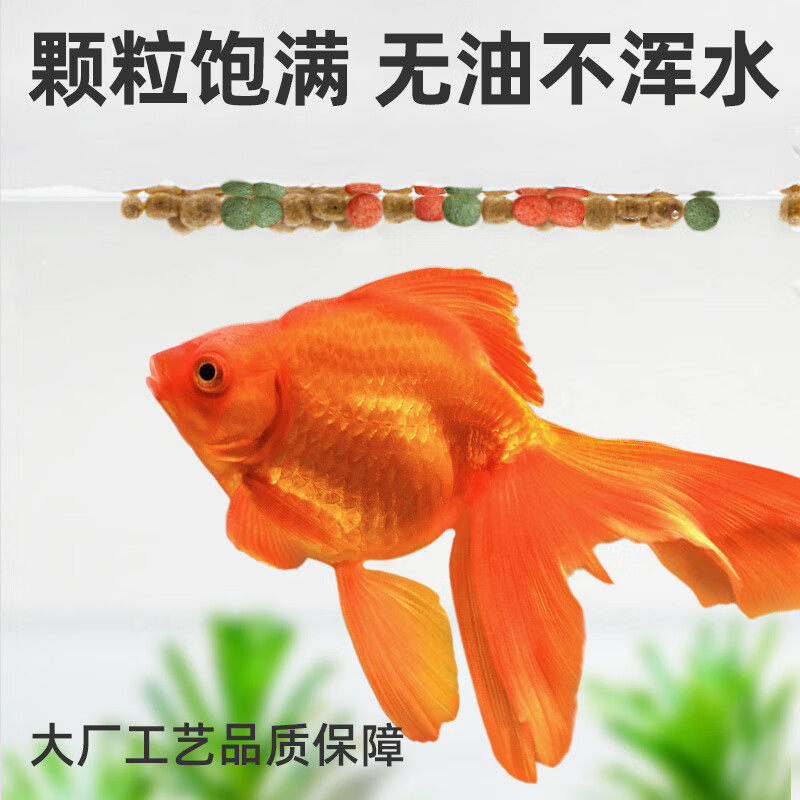 水族鱼饲料锦鲤专用金鱼鱼食小颗粒观赏鱼鲤鱼斗鱼料上浮通用-锦鲤金鱼1.5kg(小粒)高清大图