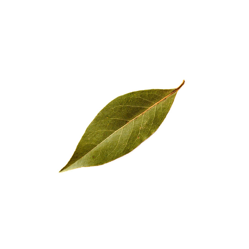 艾提尕香叶100g/袋高清大图