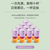 奥克斯(AUX) HX-BL122 榨汁机 随行杯 便携式充电迷你无线果汁机料理机搅拌机 榨汁杯 香芋紫
