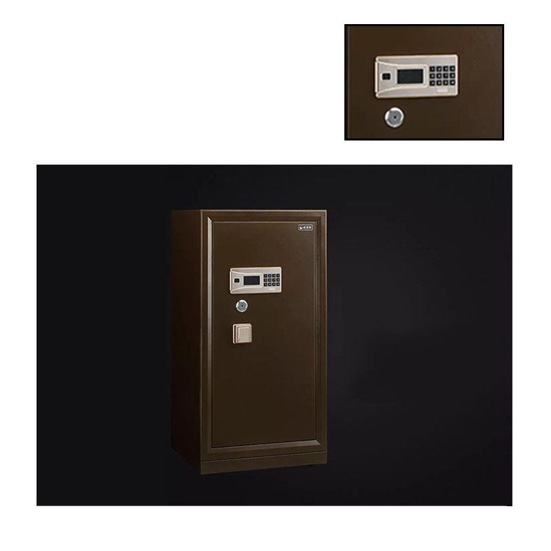 威盾斯(WEIDUNSI) 朗威系列II BGX-5/D1-100T5 保管箱(七包服务)