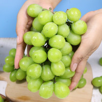 [空运直发]阳光玫瑰葡萄 提子 青提 新鲜水果生鲜 苏宁自营水果3斤普通装