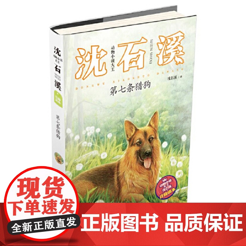 动物小说大王沈石溪作品全套3册正版注音版读本6到10岁儿童故事书小学生一二三四年级课外阅读书籍绝境重生魂断荒野王者之魂高清大图