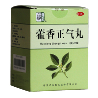 仲景 藿香正气丸 6g*10袋/盒
