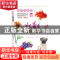 水彩入门零基础教程