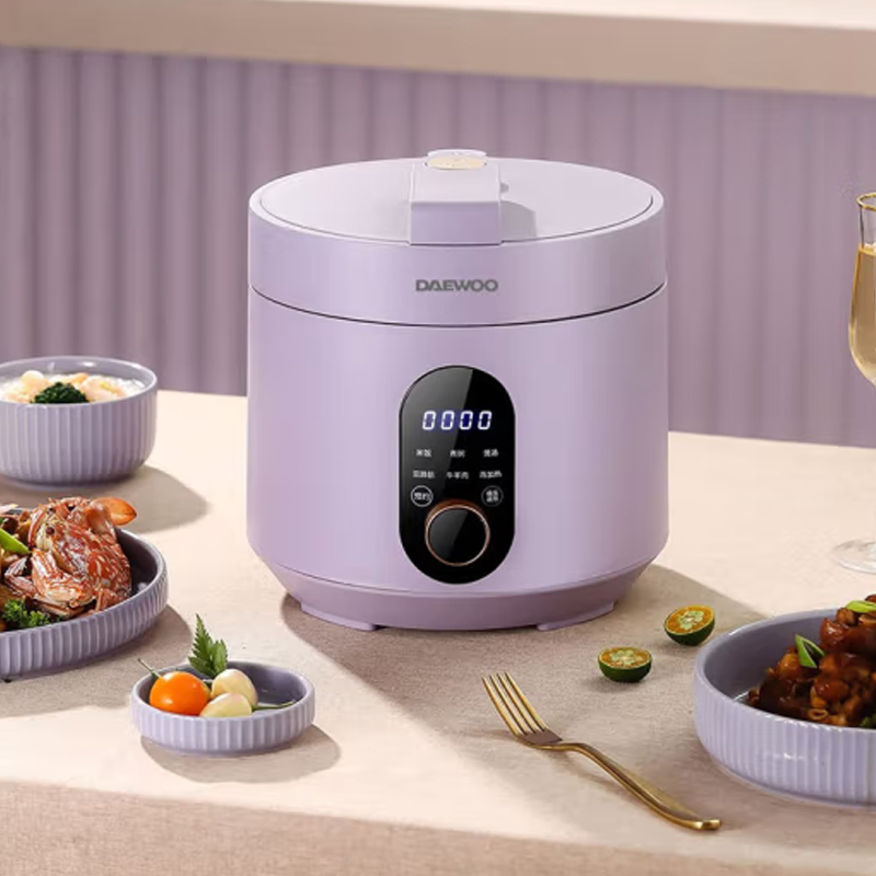 大宇电压力锅(升级版)DYYL-602升级版