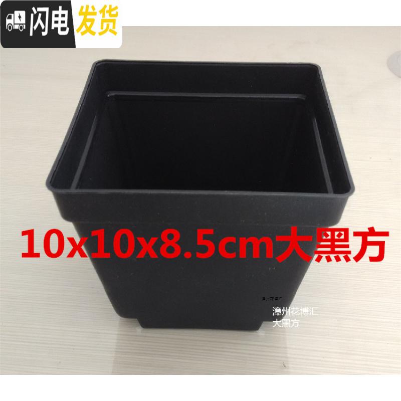 三维工匠掌柜推荐桌面简约多肉植物花盆小黑方扦插育苗塑料方盆价优 黑色7x7x6.8cm30个 中小花盆容器高清大图