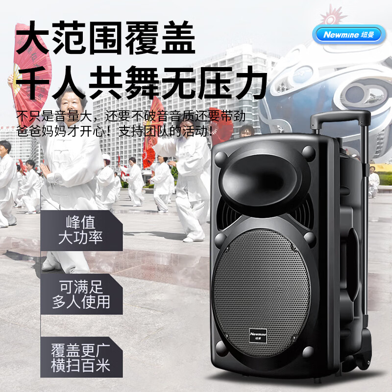 纽曼B12广场舞音响15英寸户外大音 量蓝牙拉杆音箱大功率便携式双麦高清大图
