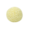 远红外细菌球生化球细菌环鱼缸滤材细菌屋过滤材料高级滤材 默认尺寸 400g/袋（2份）