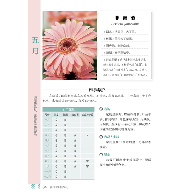 [醉染正版]新手四季养花 养花书籍 种花大全技术教程 养花书 养花秘籍花草园艺植物花卉书籍花卉养殖书籍花卉种植技术书养花