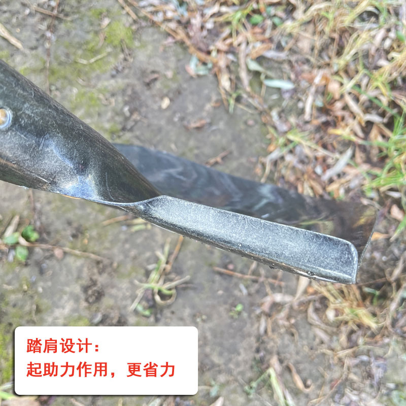 尖头锹2#高清大图