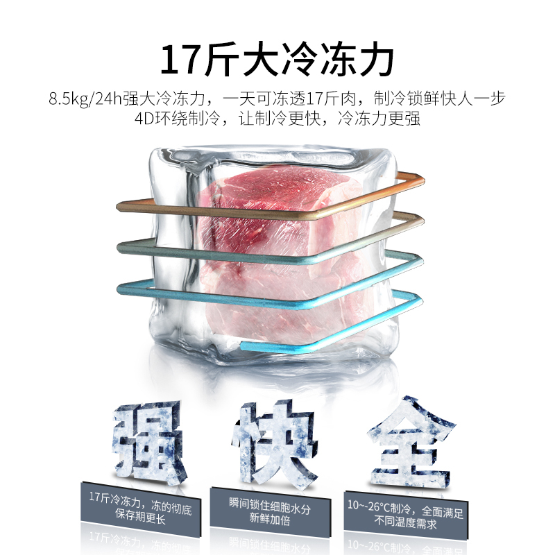 澳柯玛BC/BD-69H家用小型卧式冰柜冷藏冷冻母乳冷柜单身租房