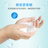 清风 湿巾 EDI纯水湿纸巾 10片单片装*10包(温和不刺激)( 独立装方便携带)