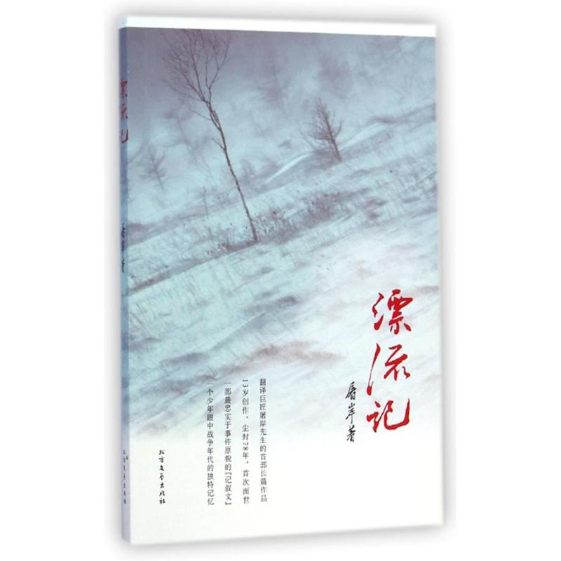 [M]漂流记-9787531733836高清大图