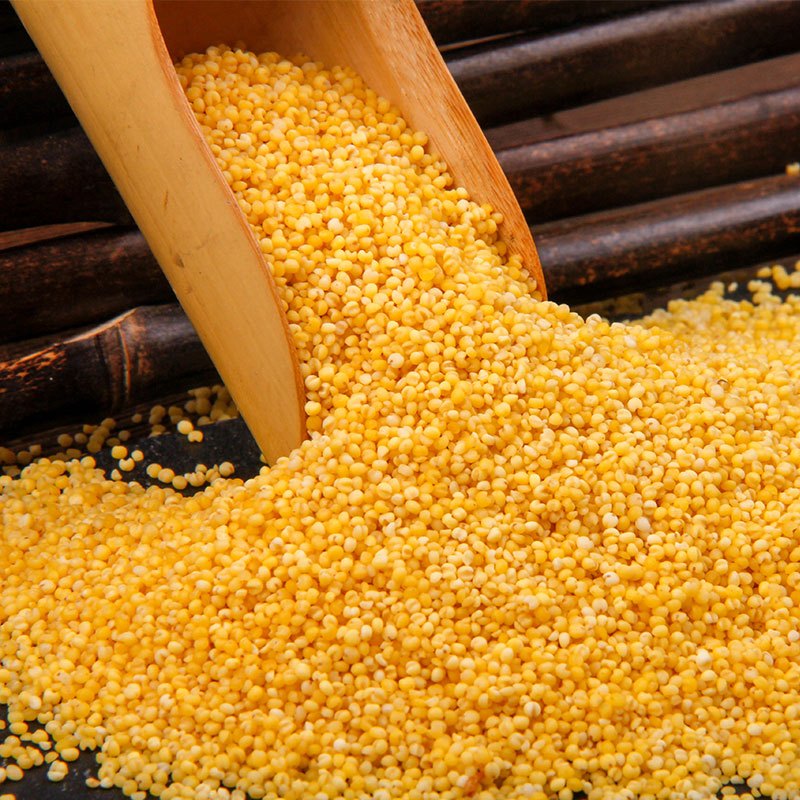 马庙金谷小米农家杂粮新小米香小米真空礼盒包装3000g箱