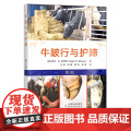 牛跛行与护蹄 第3版 牛病 蹄病防治 牛蹄 蹄子 29942