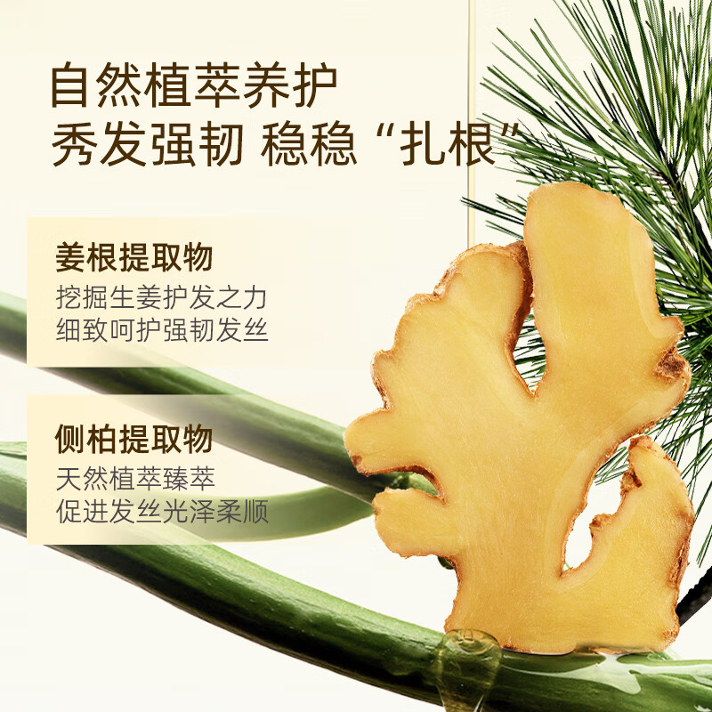菲诗蔻FicceCode澳洲进口生姜洗发套装洗发水300ml*2+发膜300ml 强韧健发无硅油控油保湿