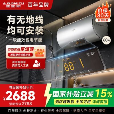 AO史密斯60升电热水器 无地线可安装 专利安全隔电 金圭内胆 速热节能 一键中温保温EVDS升级款60DX2