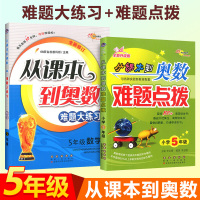 正版通用版全套2本小学数学从课本到奥数五年级难题点拨+难题大练习小学五年级数学思维训练正版5年级每日一题全套奥数天天