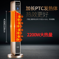 海尔(Haier)取暖器遥控款家用暖风机浴室省电暖气电暖风节能热风立式电暖器烤火HNS2201