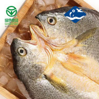 夏威绿色食品3条400-440g/条+2条150-190g/条黄鱼鲞生鲜大黄鱼黄花鱼预制菜三去+海带苗1包200g