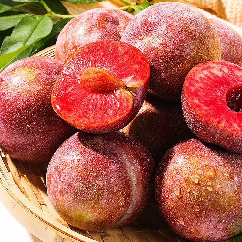 [苏鲜生]国产李子 福建古田芙蓉李 现摘现发精选 大果 净重4.