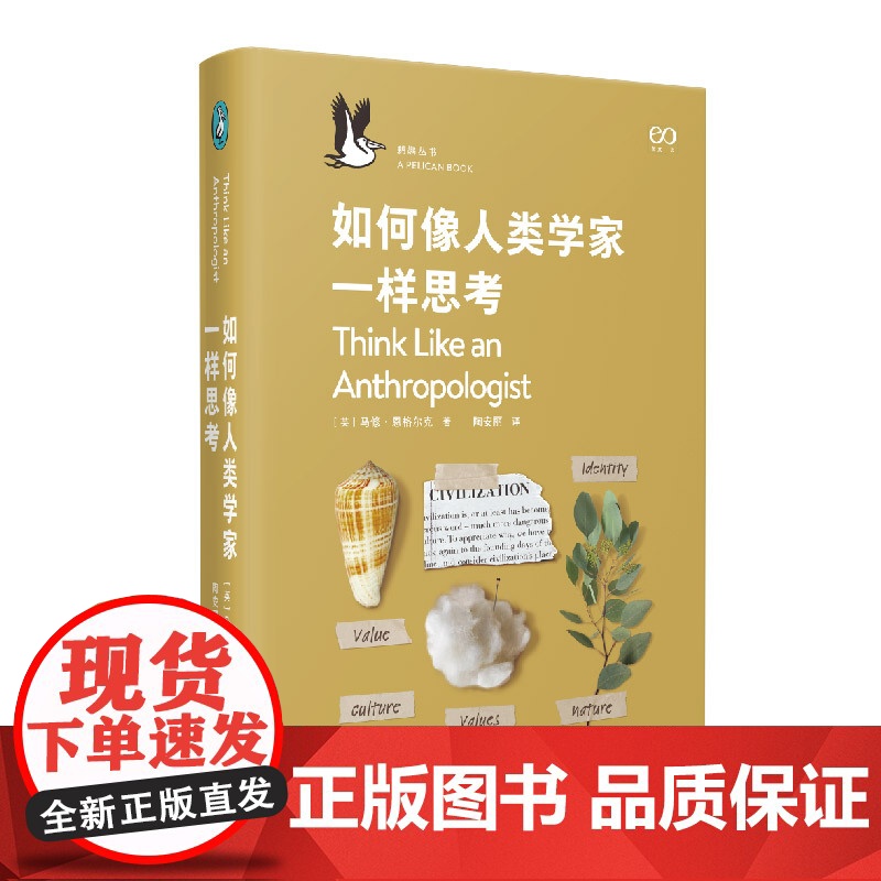 如何像人类学家一样思考 鹈鹕丛书马修恩格尔克人类社会学研究入门读物 大脑的一天系列丛书 上海文艺出版社高清大图