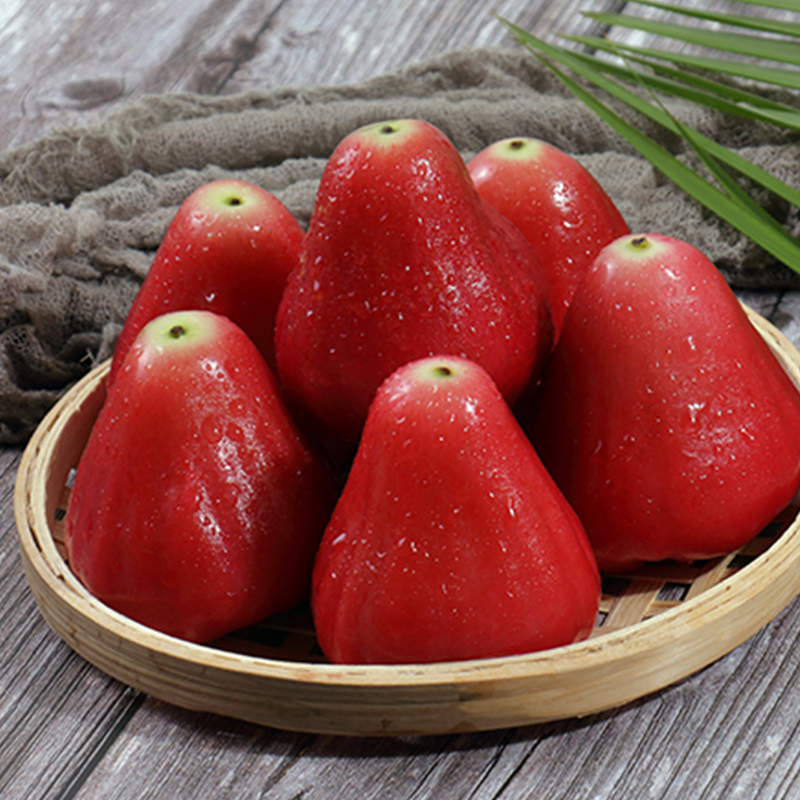 礼盒装[西沛生鲜]海南红宝石莲雾 大果 净重4.5斤 单果65-90g 当季新鲜水果特大果雾莲黑金刚连雾果整箱高清大图