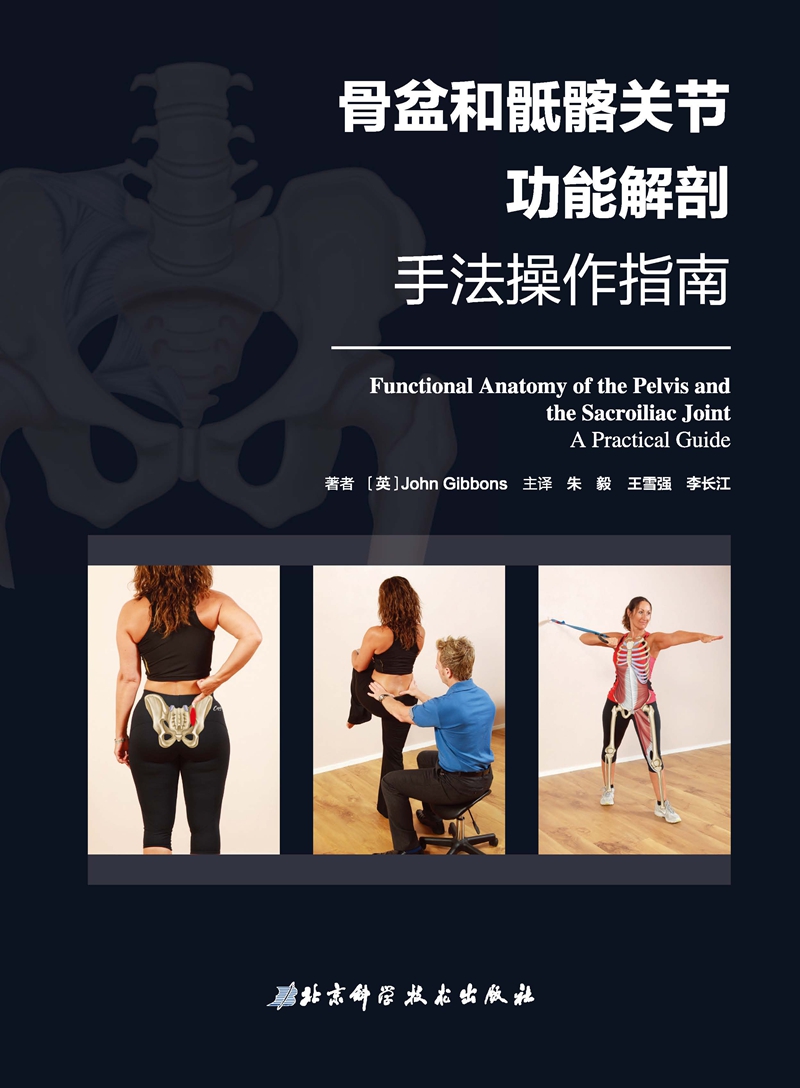 骨盆和骶髂关节功能解剖—手法操作指南高清大图