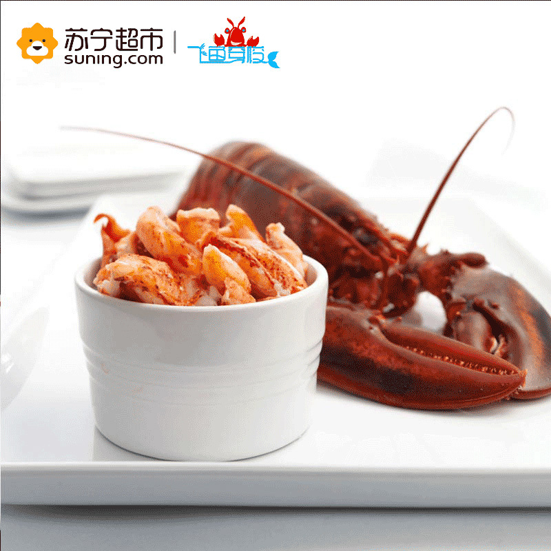 [苏宁生鲜][活鲜]加拿大 鲜活波士顿龙虾 海鲜波龙450-550g/只 顺丰冷链航空全国配送