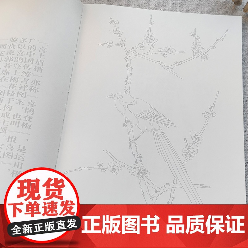 正版 吉祥花鸟线描 吴樵六著 国画临摹画册 工笔花鸟线描画 工笔画国画入门教程 白描底稿临摹 画画自学零基础艺术绘画高清大图
