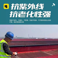 千禧雁 免打磨铁锈转化漆彩钢瓦翻新漆金属漆 红色-20KG
