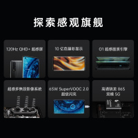 OPPO Find X2 8GB+128GB 碧波 120Hz超感屏 3K分辨率 视频动态插帧 65W超级闪充 高通骁龙865 全网通全面屏拍照游戏智能双模5G手机