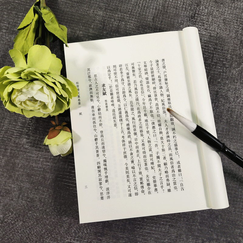[正版]松雪斋文集 艺文丛刊 赵孟頫 著 中华古典巨制古文楷书行书书法题跋集竖版繁体字中国国学经典书籍杂学随笔文集 书高清大图