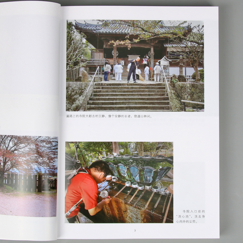 [醉染正版]精神健康讲记 李辛 一个中医眼中的心身调适与精神发展 儿童健康讲记 后 健康 主题系列的代表作WX高清大图