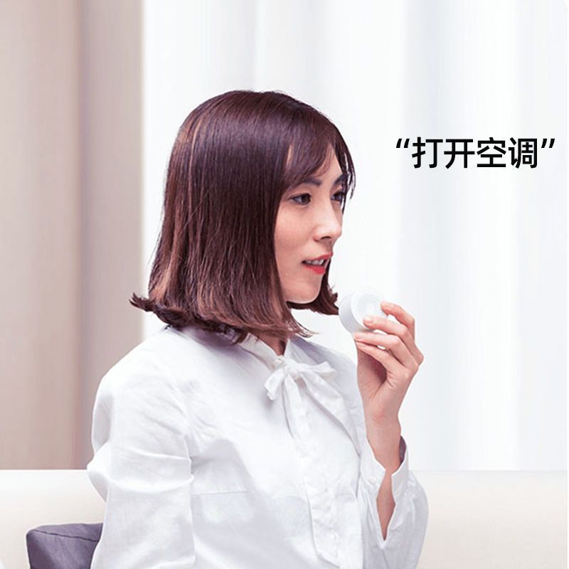 小米小爱蓝牙音箱随身版小爱同学无线蓝牙智能音响便携小巧低音炮 小爱蓝牙音箱随身版-官方标配