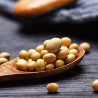 西部粮仓黄豆真空装400克*2