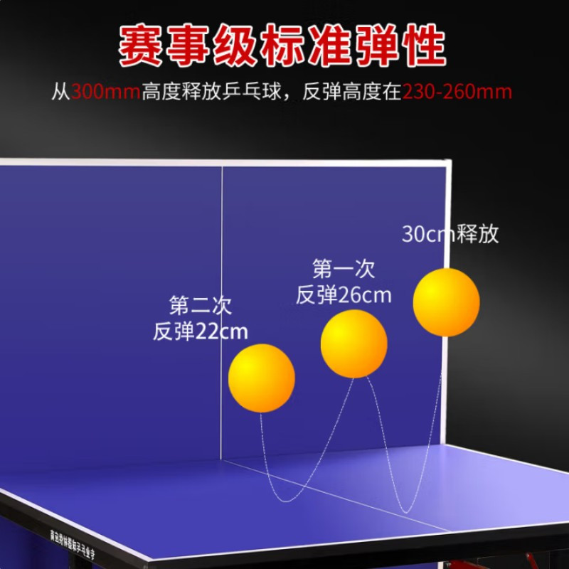 探仕狼 乒乓球桌标准室内家用可折叠移动式比赛乒乓球台TSL-1850L