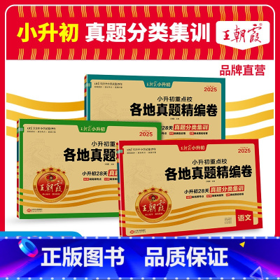 [2025新版]各地真题语数英3本套装 小学升初中 [正版]小升初真题卷2025新版小升初刷题小学升初中重点校各地真题精