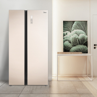 美的(Midea) 616升对开门大容量电冰箱 急速净味 智能操控 三档变温 极地金 BCD-616WKGPZM