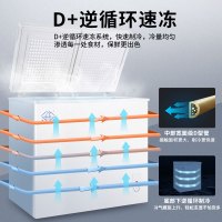 冰熊 188升 家用商用一级能耗节能小冰柜迷你卧式冷藏冷冻双温双箱冷柜