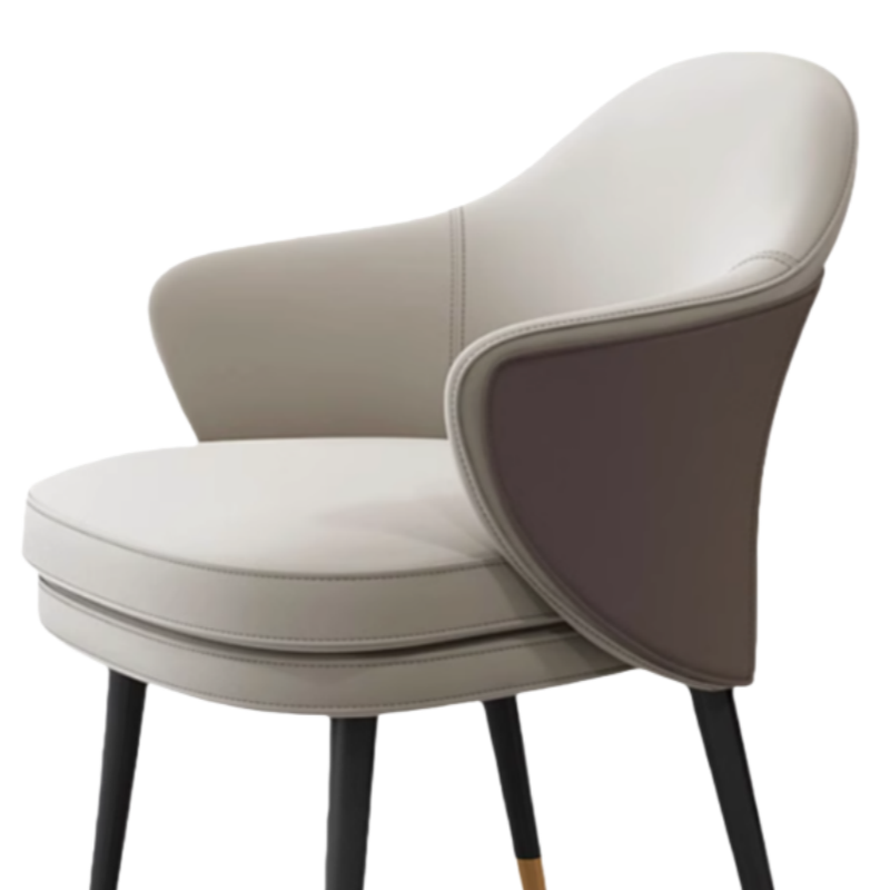 璎蕙 休闲餐椅单人 张高清大图